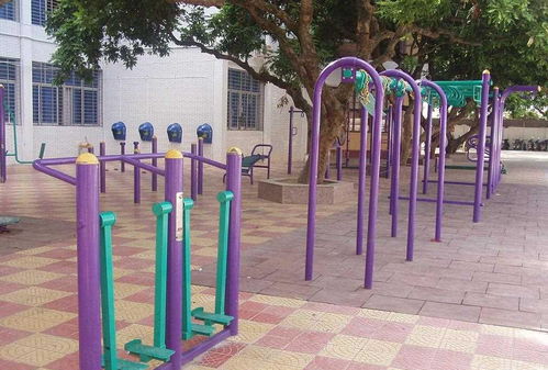 全民健身新風(fēng)尚 室外健身器材的多元價(jià)值與使用指南